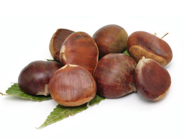 Recettes marron