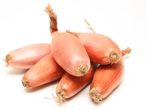 Recettes échalote