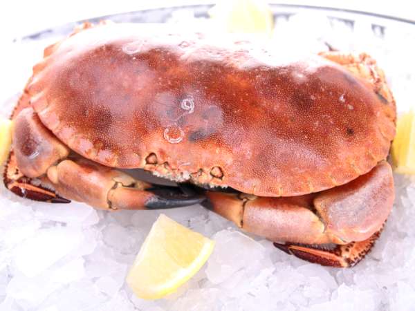Recettes crabe