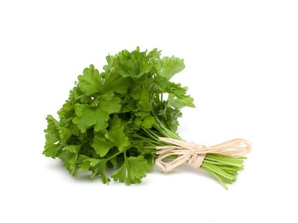 Recettes coriandre