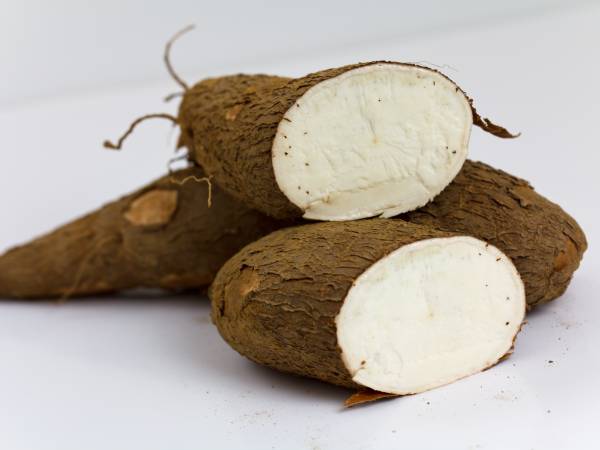 Recettes manioc