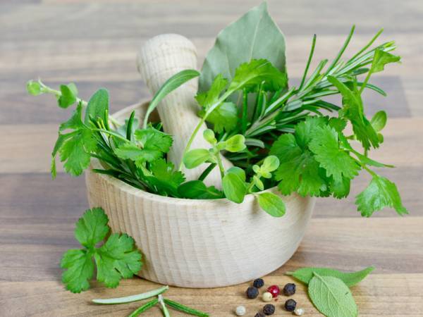 Recettes cerfeuil