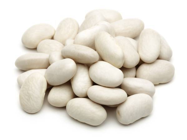 Recettes haricot blanc