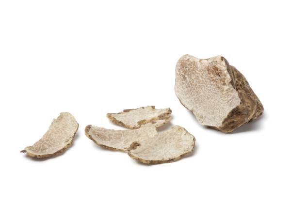 Recettes truffe blanche