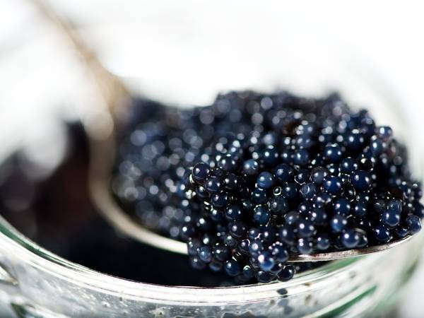 Recettes caviar
