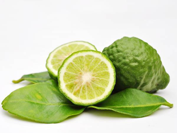 Recettes bergamote