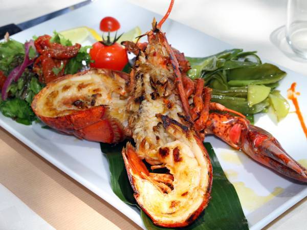 Recettes écrevisses
