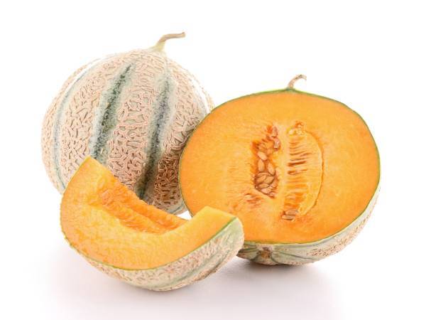 Recettes melon