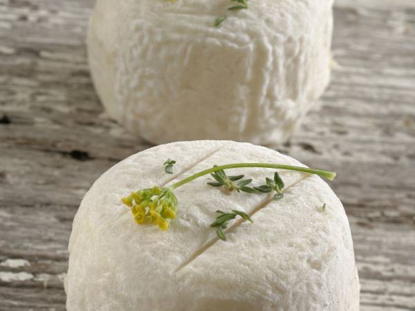 Recettes crottin de chavignol