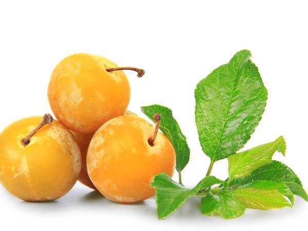 Recettes mirabelle