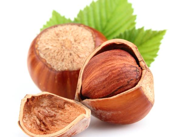 Recettes noisette