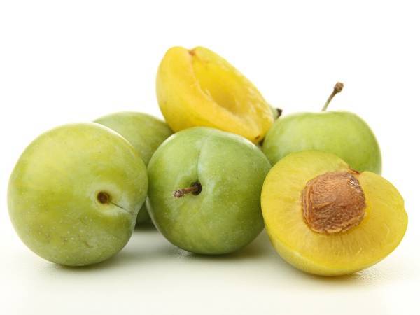 Recettes prune