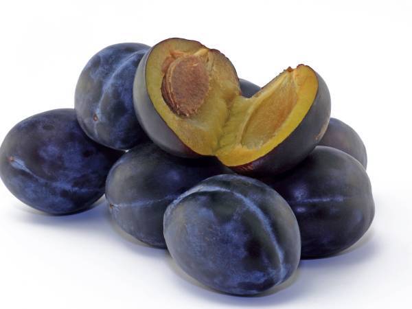 Recettes quetsche
