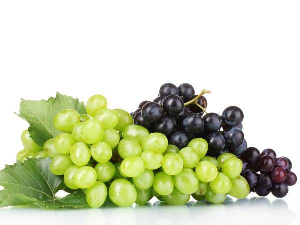 Recettes raisin