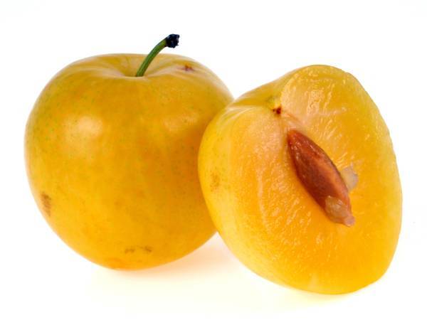 Recettes reine-claude