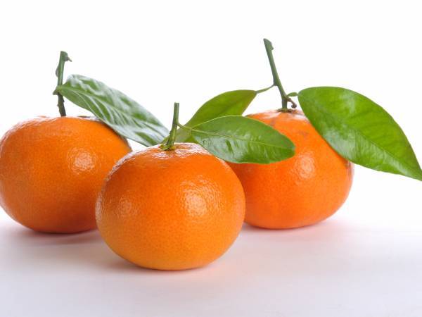 Recettes mandarine