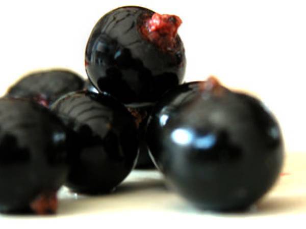 Recettes cassis