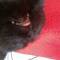 patricia_l2013