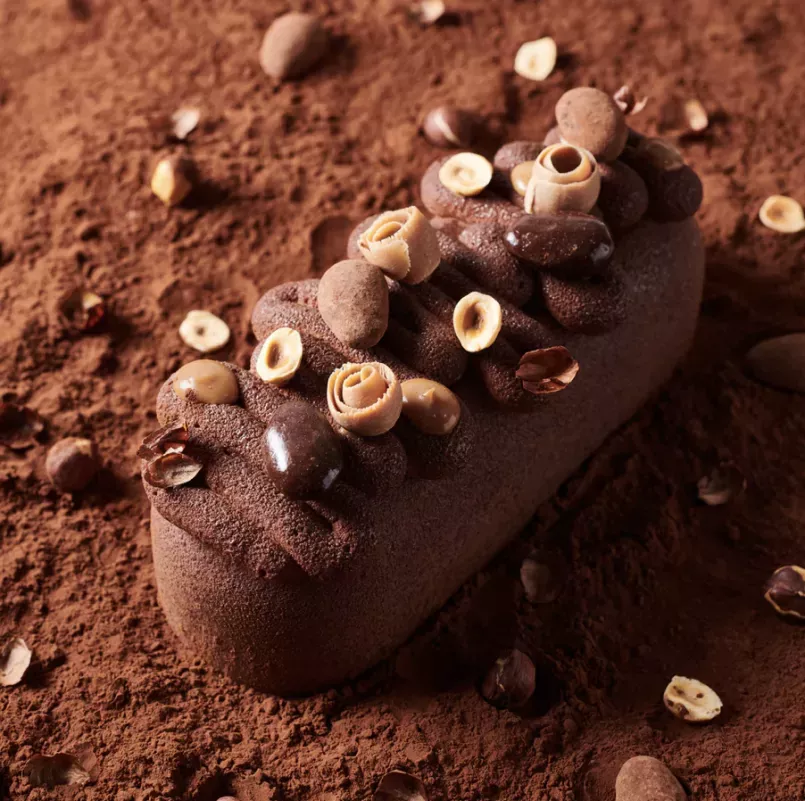 La bûche chocolat praliné de Jeffrey Cagnes