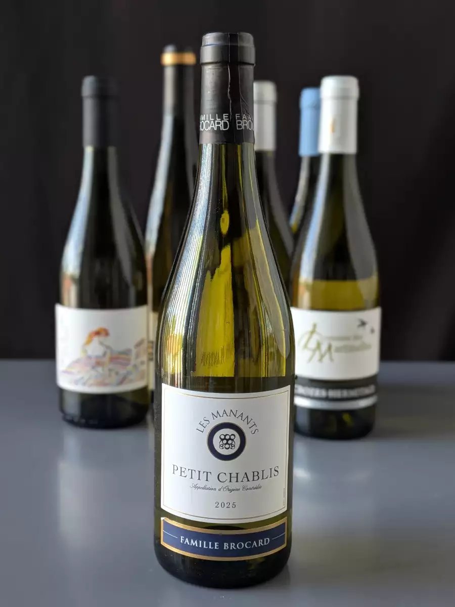Famille Brocard – Petit Chablis 2025: le blanc citronné, net et facile à associer