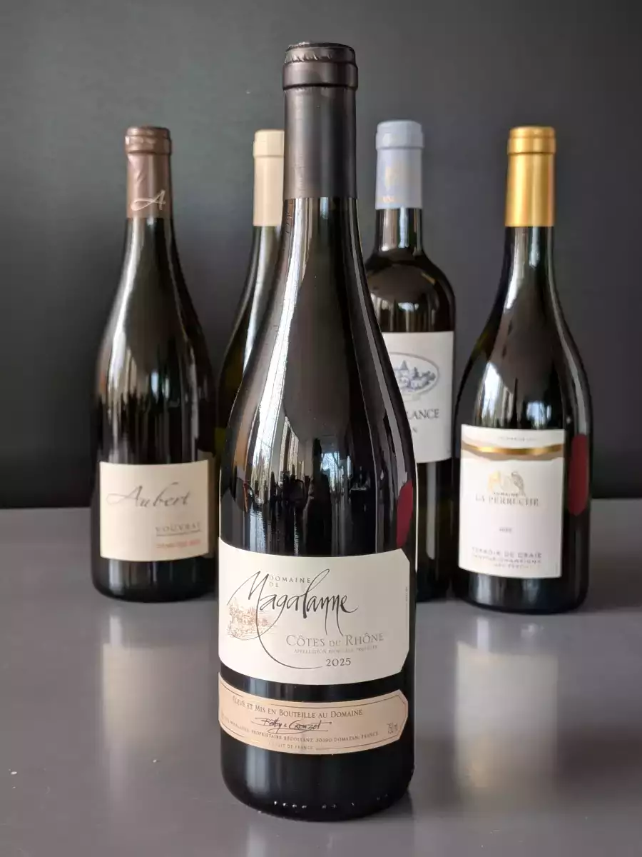 Domaine de Magalanne 2025: un Côtes-du-Rhône rouge fruité pour le gratin