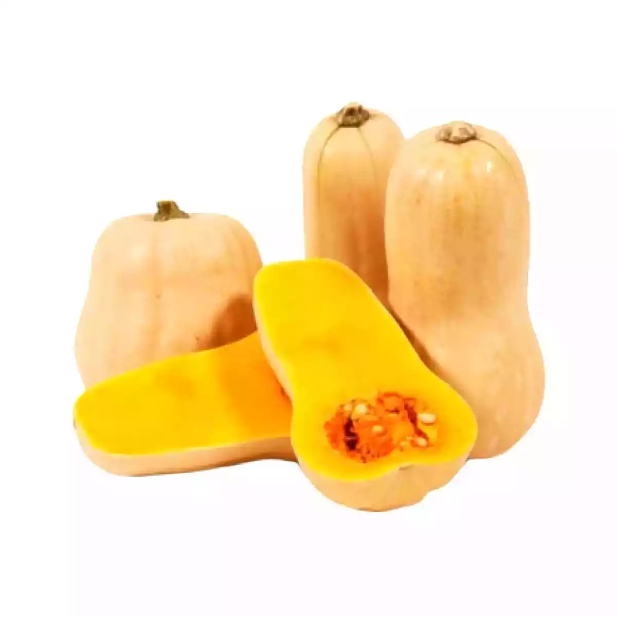 Butternut