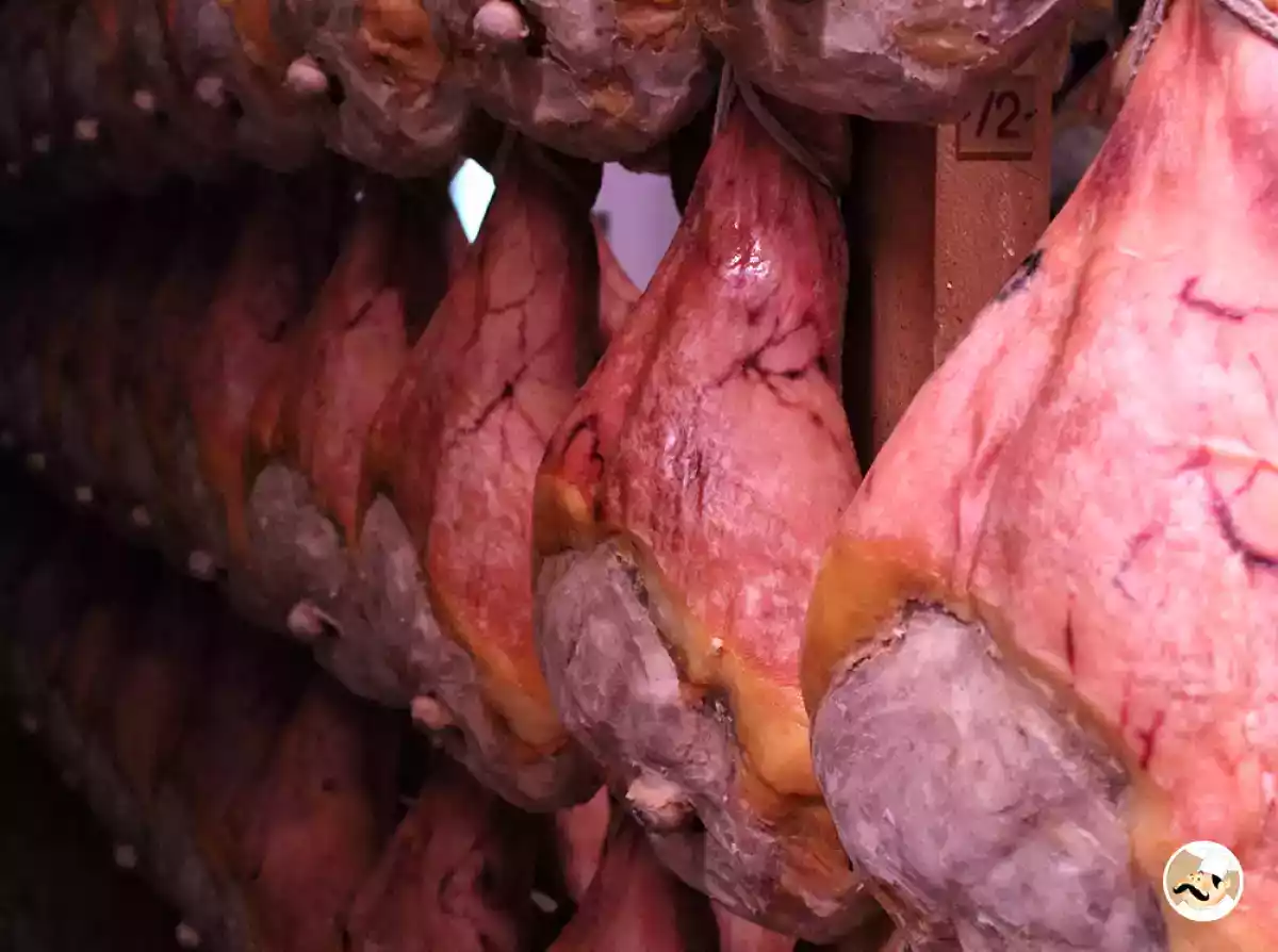 Les secrets de fabrication du jambon de Parme enfin dévoilés!, photo 6