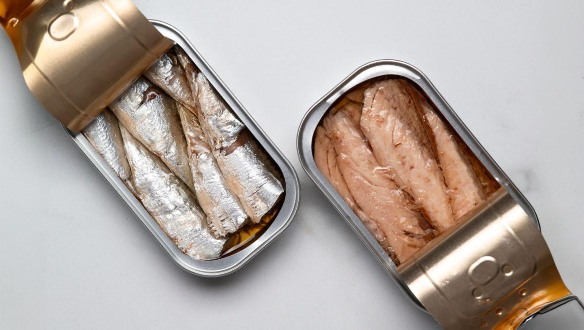 Le retour des sardines en boîte : pourquoi ce petit poisson a tout bon