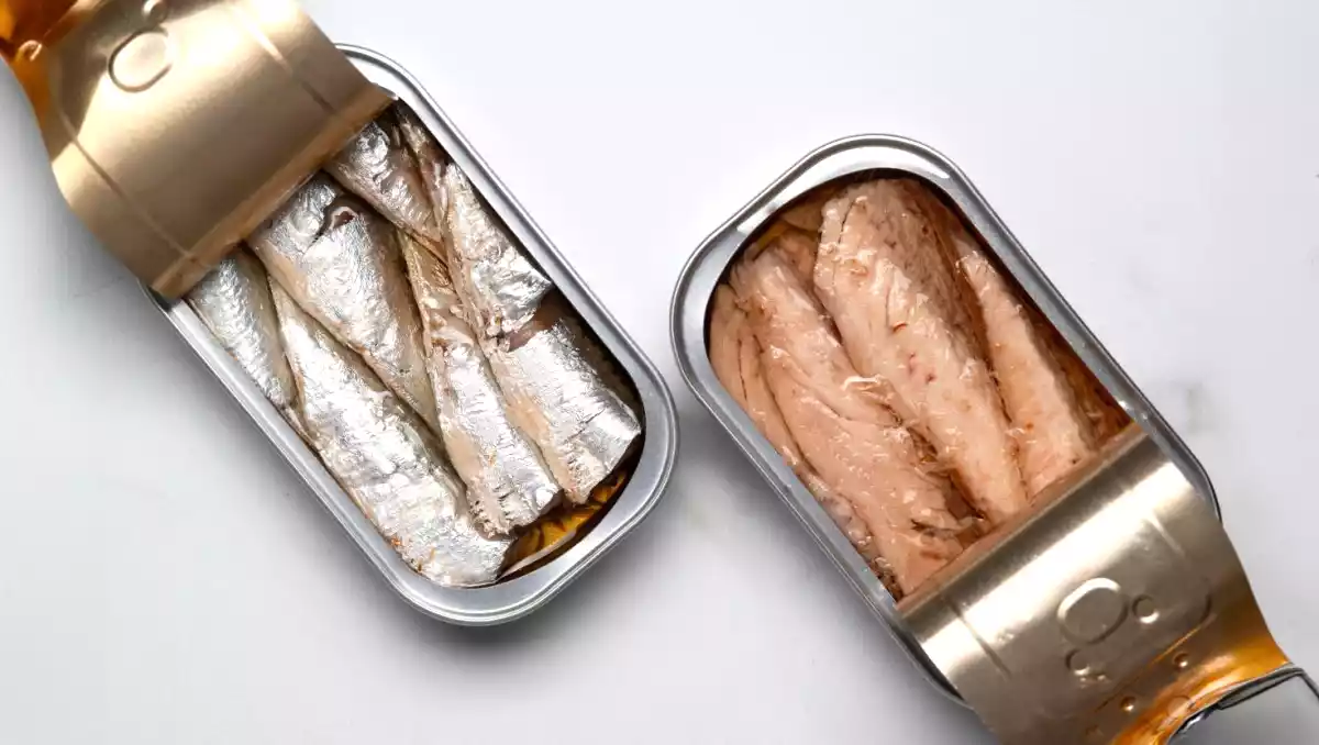 Le retour des sardines en boîte : pourquoi ce petit poisson a tout bon