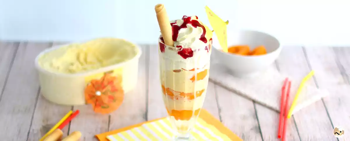 15 recettes de glaces maison