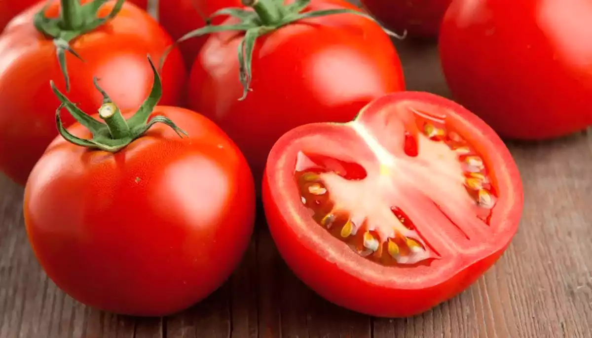 Ces 7 erreurs que tout le monde fait avec les tomates en été (et comment les éviter)