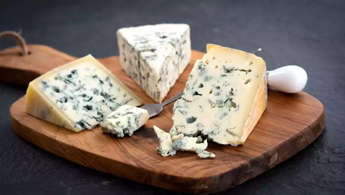 Les fromages bleus sont-ils vraiment “moisis” ? Ce qu’il faut savoir avant de bouder le roquefort
