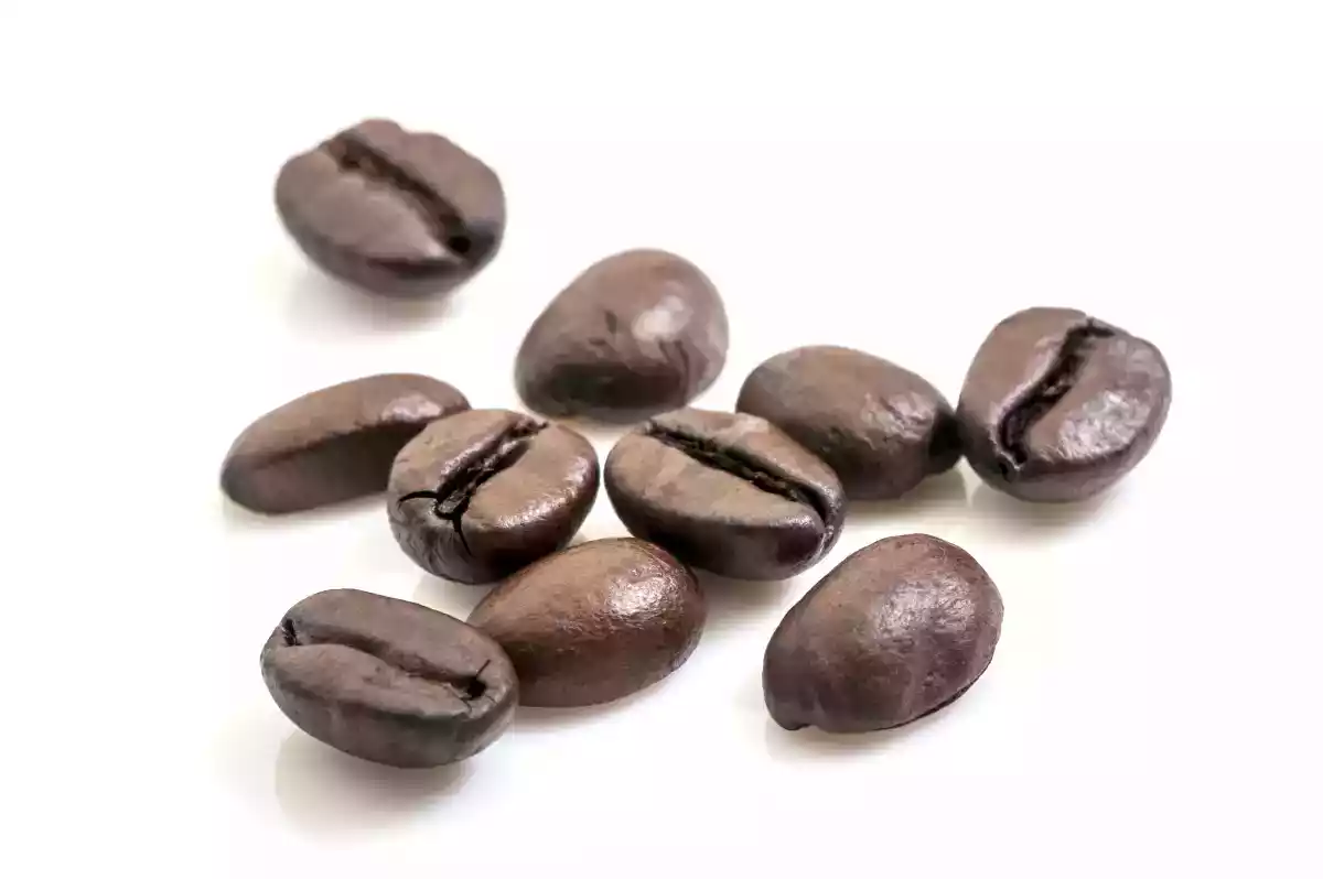 Le café: les idées reçues et bonnes raisons d'en consommer