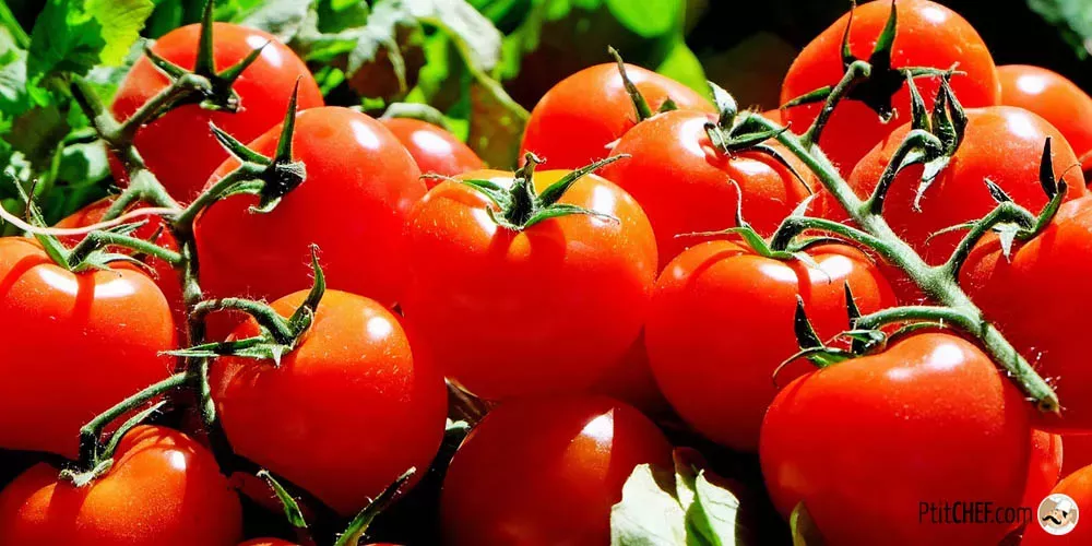 Zoom sur 6 variétés de tomates