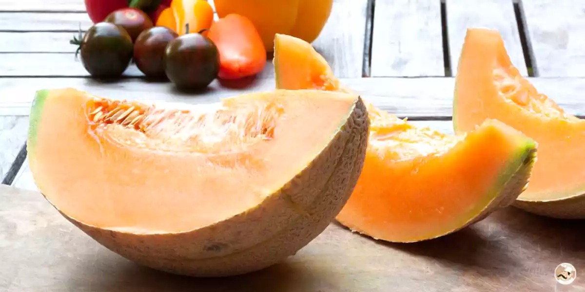 Comment bien choisir un melon?
