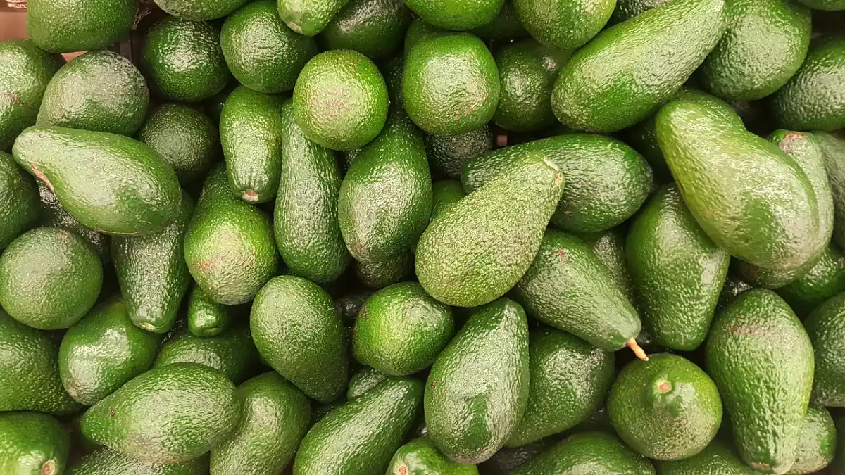 Nos astuces infaillibles pour choisir l'avocat parfait