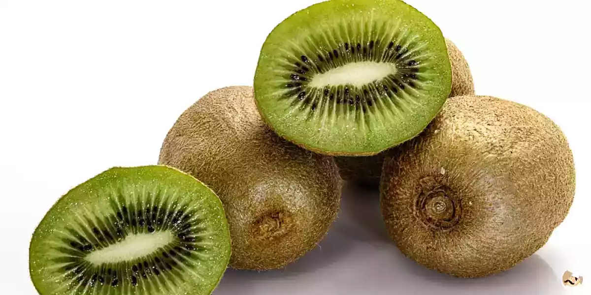 Les astuces à connaître pour toujours choisir les meilleurs kiwis