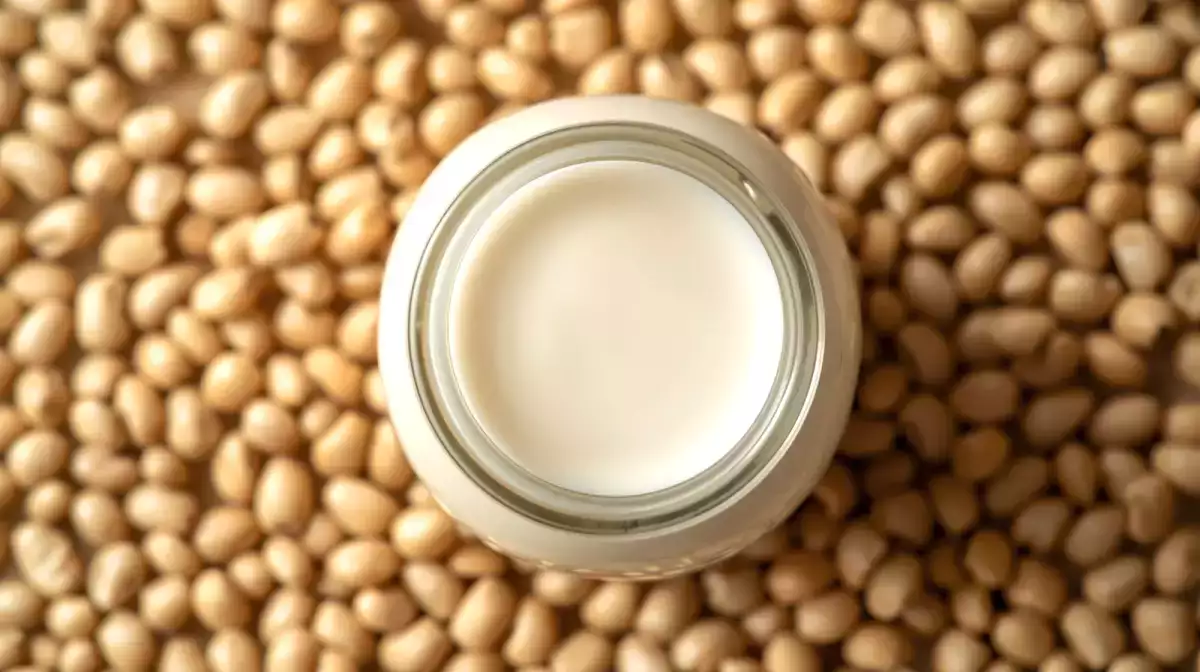 Quel lait végétal est le plus sain ? On fait le point !