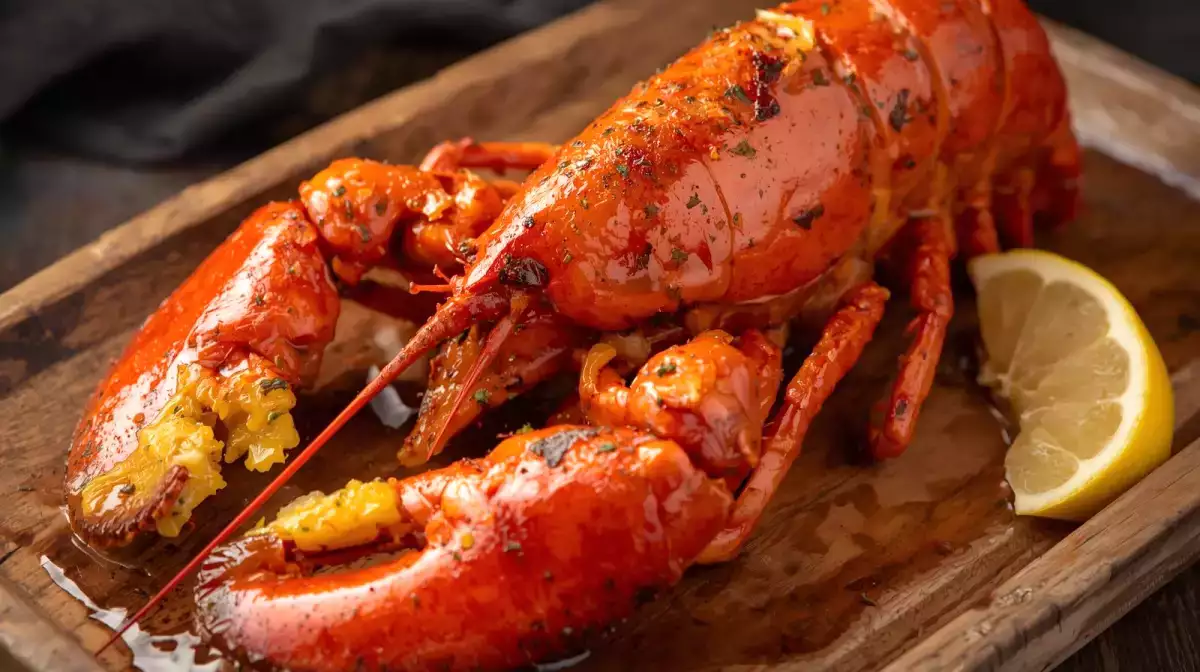 Cuisson parfaite du homard pour Noël : nos astuces incontournables