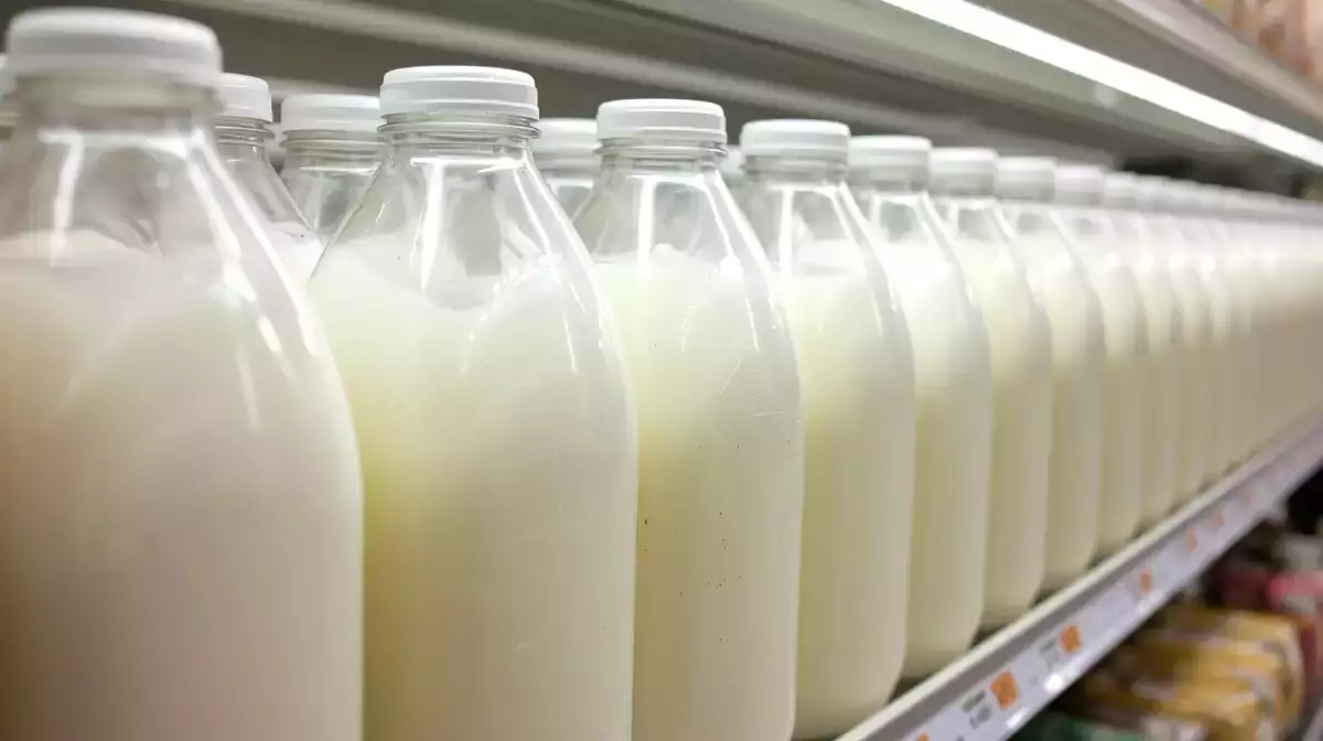 Derrière la bouteille de lait : qu'est-ce que signifie vraiment “UHT” ?