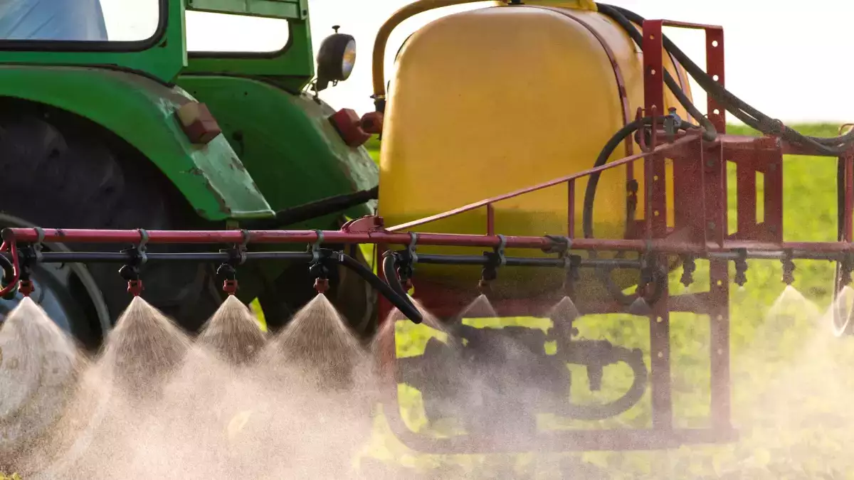 Manger bio suffit-il à éviter le cadmium ? Ce que dit vraiment l’Anses (et pourquoi le débat fait réagir)