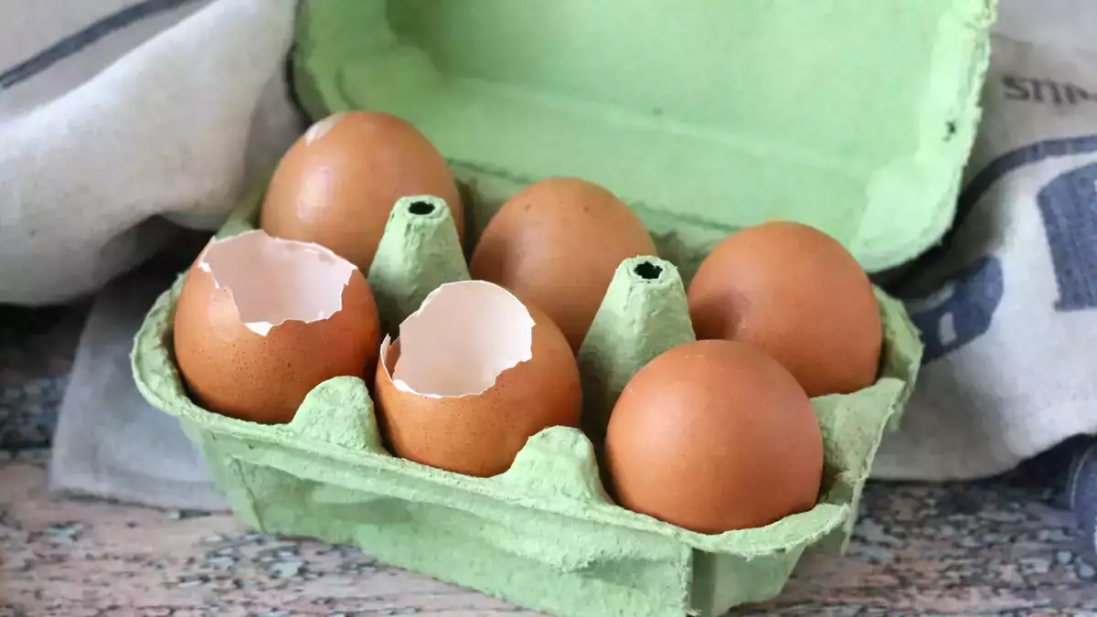 Vous remettez les coquilles d’œufs dans la boîte ? Attention, ce réflexe courant peut poser un vrai problème