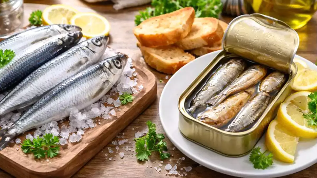 Sardines fraîches ou en boîte : lesquelles choisir vraiment ?