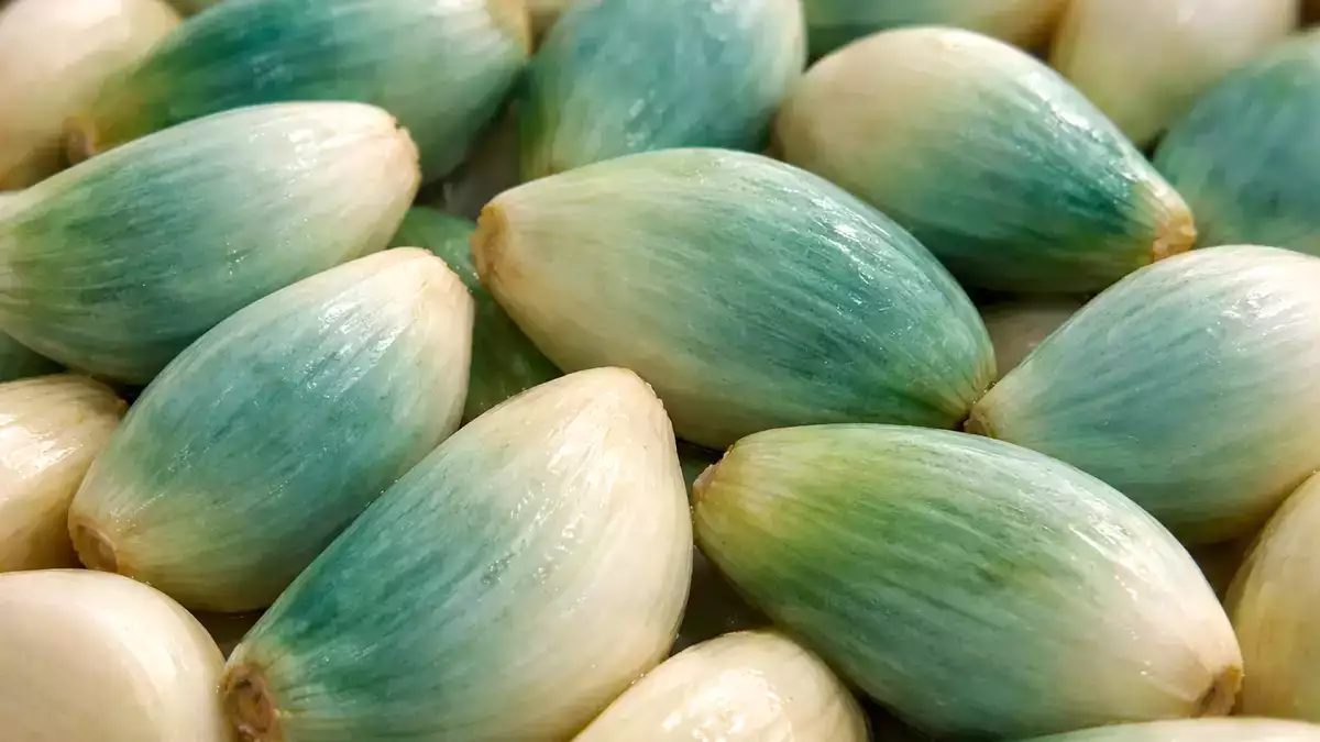 Ail vert ou bleu : faut-il vraiment le jeter ? Ce que cette couleur signifie