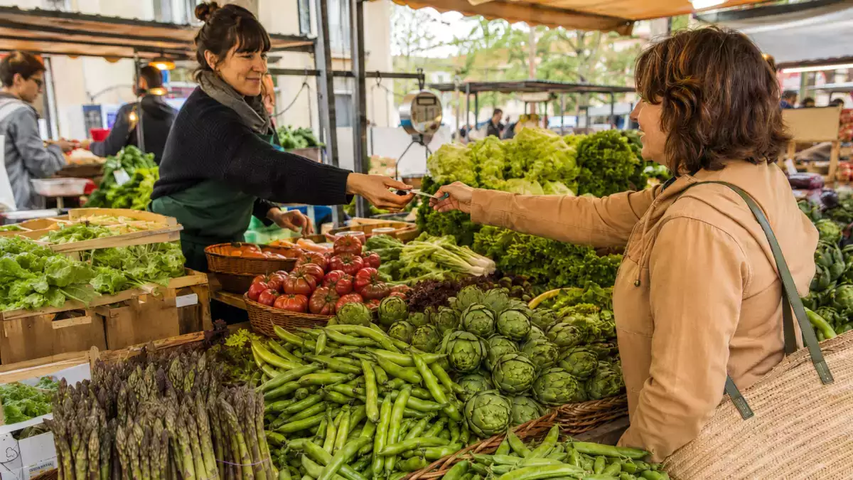 Explorez 10 façons créatives de cuisiner les légumes du printemps