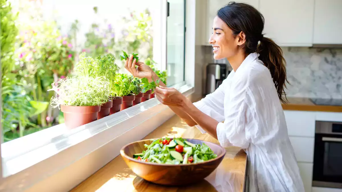 Découvrez les 5 herbes parfaites pour la cuisine et celles qui exigent un plein de soleil