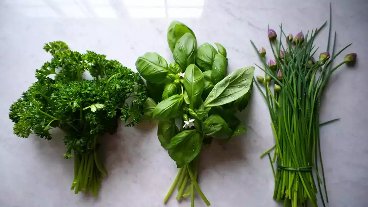 Arrêtez d’acheter des herbes aromatiques : ces astuces toutes simples permettent d’en avoir gratuitement presque toute l’année