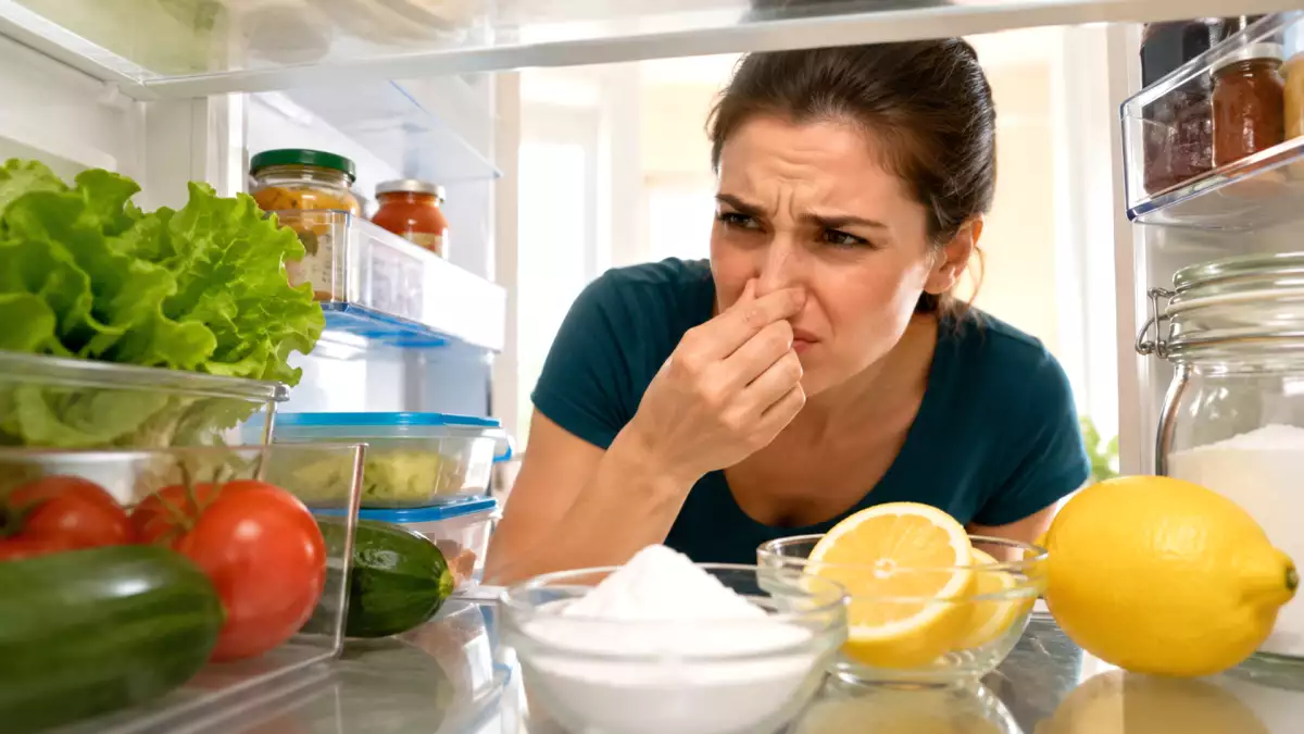 Votre réfrigérateur sent mauvais ? Les astuces de grand-mère qui fonctionnent vraiment (sans produits chimiques)