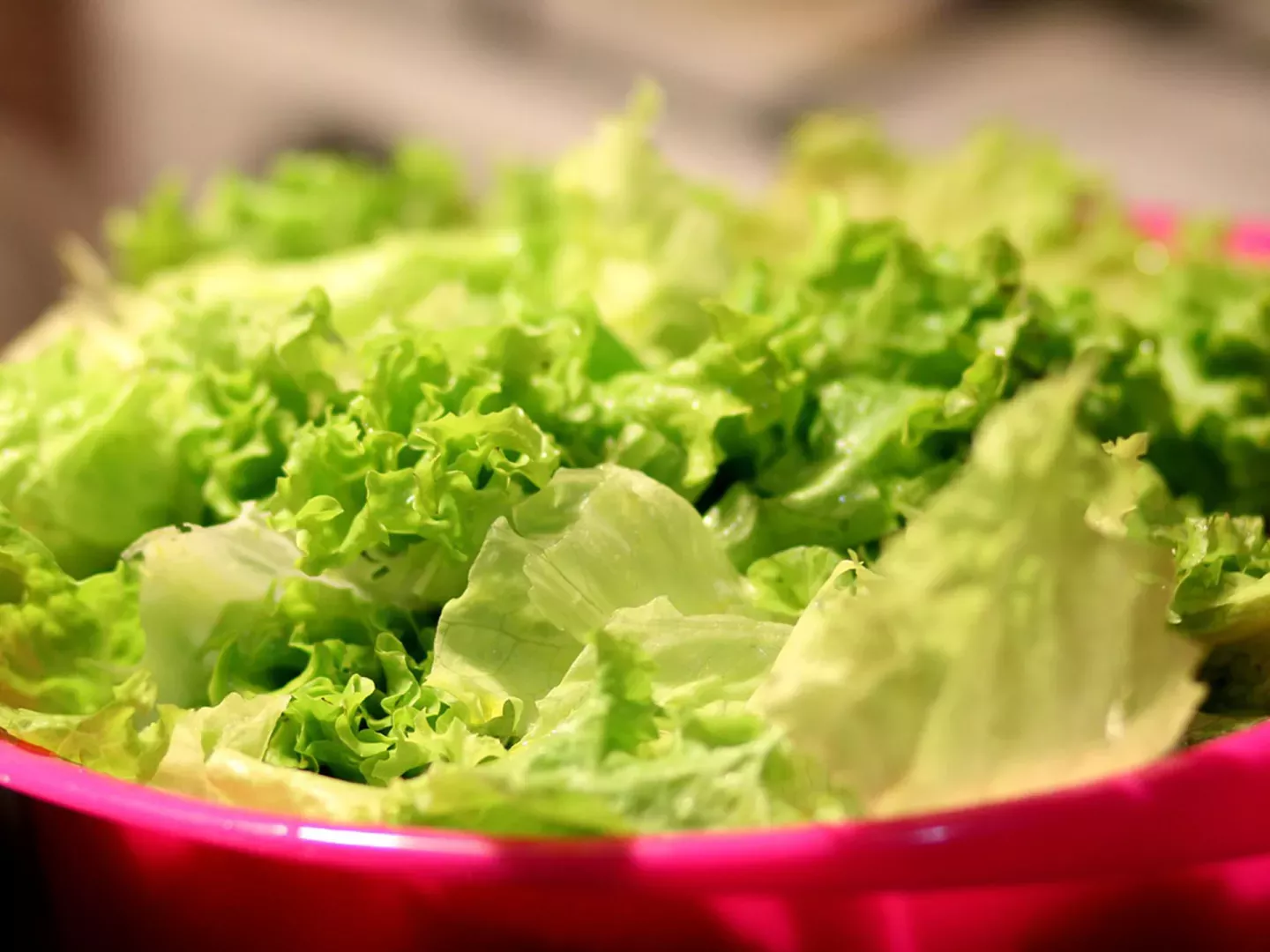 L'astuce magique récemment découverte pour conserver sa salade