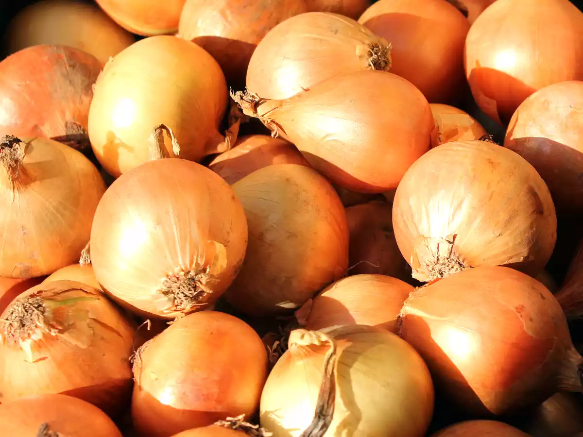 Nos meilleures astuces pour ne pas pleurer en coupant les oignons !